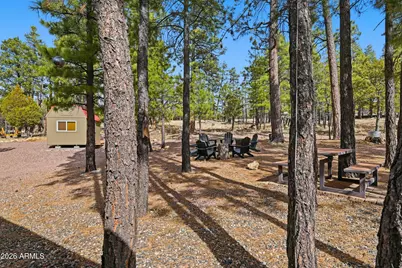 2381 Blue Ridge Drive, Happy Jack, AZ 86024 - Photo 39