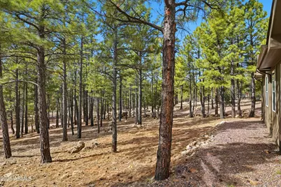 2381 Blue Ridge Drive, Happy Jack, AZ 86024 - Photo 31