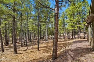 2381 Blue Ridge Dr, Happy Jack, AZ 86024 - Photo 31