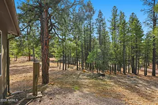 2381 Blue Ridge Dr, Happy Jack, AZ 86024 - Photo 3