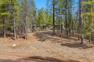 2381 Blue Ridge Dr, Happy Jack, AZ 86024 - Photo 1