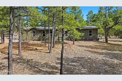 2381 Blue Ridge Drive, Happy Jack, AZ 86024 - Photo 3