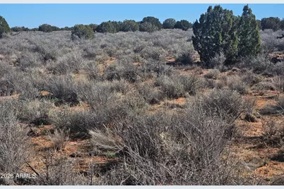 5371 Valley Road #-, Snowflake, AZ 85937 - Photo 15