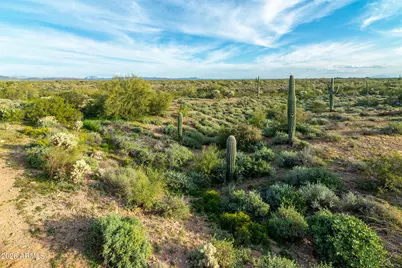 10439 E Trailhead Court, Gold Canyon, AZ 85118 - Photo 47