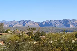 11417 N Cameron Ct, Fountain Hills, AZ 85268 - Photo 21