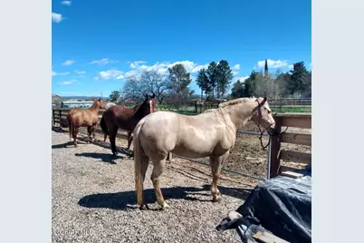 4005 W Shea Lane, Camp Verde, AZ 86322 - Photo 31