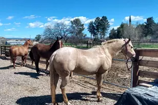 4005 W Shea Ln, Camp Verde, AZ 86322 - Photo 31