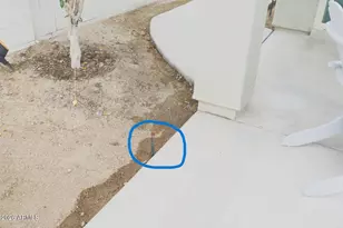 2318 E Harwell Rd, Phoenix, AZ 85042 - Photo 89