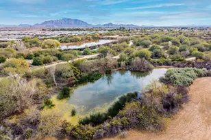 4467 E Tonto Pl, Chandler, AZ 85249 - Photo 101
