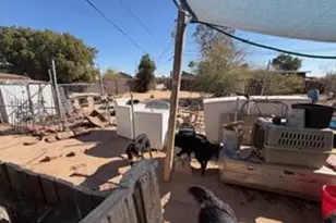 401 5th Ave, Buckeye, AZ 85326 - Photo 9