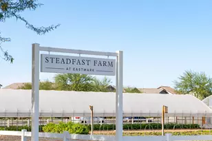 9817 E Strobe Ave, Mesa, AZ 85212 - Photo 77