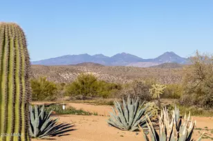 13849 E Hawknest Rd, Scottsdale, AZ 85262 - Photo 45