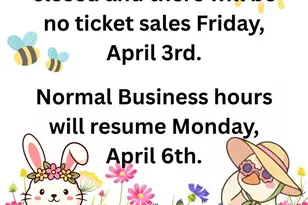 4045 E Capri Ave, Mesa, AZ 85206 - Photo 41