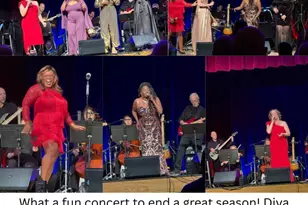 4045 E Capri Ave, Mesa, AZ 85206 - Photo 41