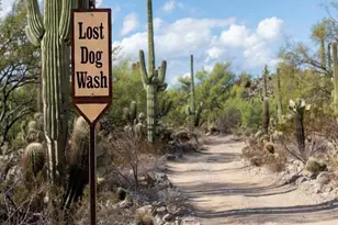 8079 E Cortez Dr, Scottsdale, AZ 85260 - Photo 57