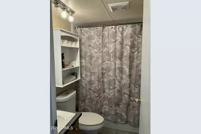 2523 E Contention Mine Road #41, Phoenix, AZ 85032 - Photo 19