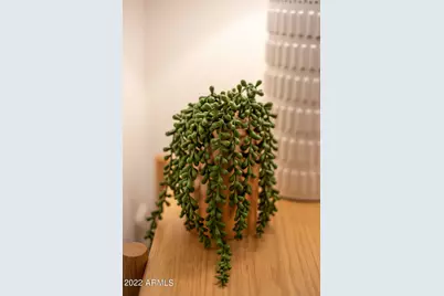 1148 E Glenn Drive, Phoenix, AZ 85020 - Photo 45