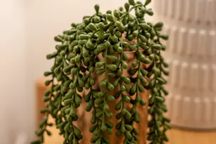 1148 E Glenn Dr, Phoenix, AZ 85020 - Photo 45