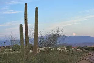 15807 E Greystone Dr, Fountain Hills, AZ 85268 - Photo 3