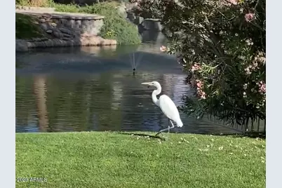 1117 W Lakeridge Drive, Gilbert, AZ 85233 - Photo 41