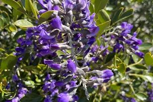 10580 E Swinging Bridge Ln, Cornville, AZ 86325 - Photo 71