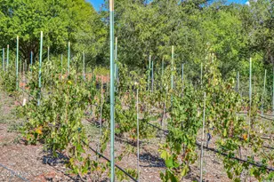 10580 E Swinging Bridge Ln, Cornville, AZ 86325 - Photo 49