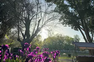 10580 E Swinging Bridge Ln, Cornville, AZ 86325 - Photo 67