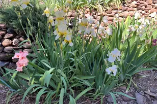 10580 E Swinging Bridge Ln, Cornville, AZ 86325 - Photo 33