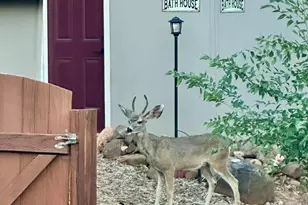 10580 E Swinging Bridge Ln, Cornville, AZ 86325 - Photo 75