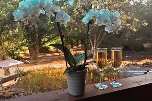 10580 E Swinging Bridge Ln, Cornville, AZ 86325 - Photo 59