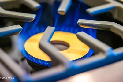 27589 N 61st Place, Scottsdale, AZ 85266 - Photo 23