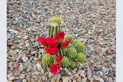 100 Rain Trail Road, Sedona, AZ 86351 - Photo 51