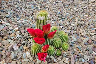 100 Rain Trail Rd, Sedona, AZ 86351 - Photo 51