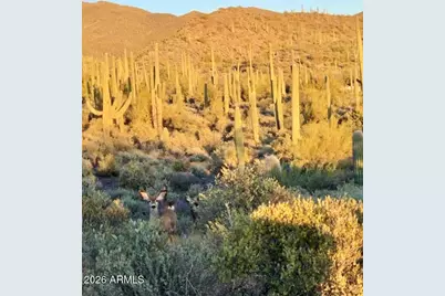 41811 N 72nd -- Street #-, Cave Creek, AZ 85331 - Photo 29