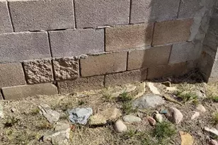 9829 N 13th Pl, Phoenix, AZ 85020 - Photo 35