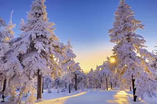 750 E Havasupai Rd, Munds Park, AZ 86017 - Photo 63