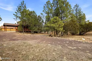 2008 Lexington, Overgaard, AZ 85933 - Photo 3