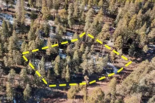 9 County Road 2073 --, Alpine, AZ 85920 - Photo 1