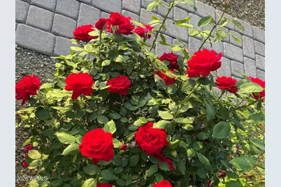 700 W On The Greens Boulevard, Cottonwood, AZ 86326 - Photo 39