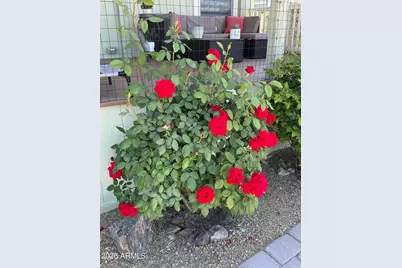 700 W On The Greens Boulevard, Cottonwood, AZ 86326 - Photo 37