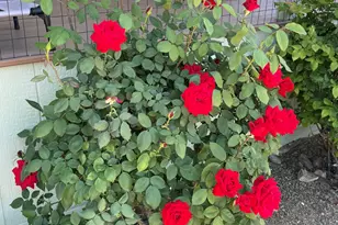 700 W On The Greens Blvd, Cottonwood, AZ 86326 - Photo 37