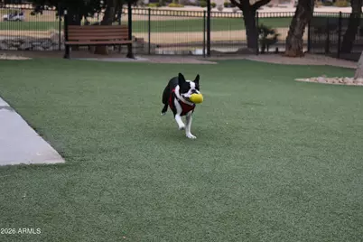 19417 N Tallowood Way, Surprise, AZ 85387 - Photo 33