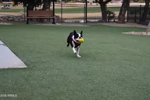 19417 N Tallowood Way, Surprise, AZ 85387 - Photo 33