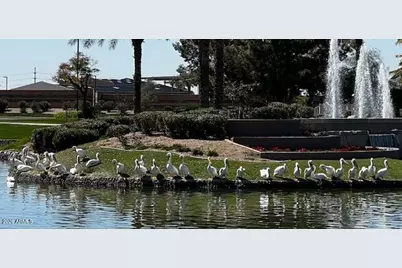 1801 W Lynx Way, Chandler, AZ 85248 - Photo 33