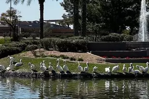 1801 W Lynx Way, Chandler, AZ 85248 - Photo 33