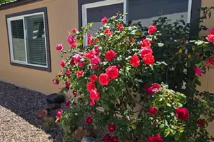 2511 N 56th St, Mesa, AZ 85215 - Photo 5