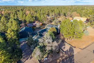 2214 Mountain Lion Ln, Overgaard, AZ 85933 - Photo 73