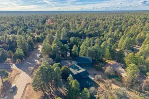 2214 Mountain Lion Ln, Overgaard, AZ 85933 - Photo 75