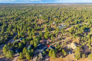 2214 Mountain Lion Ln, Overgaard, AZ 85933 - Photo 79