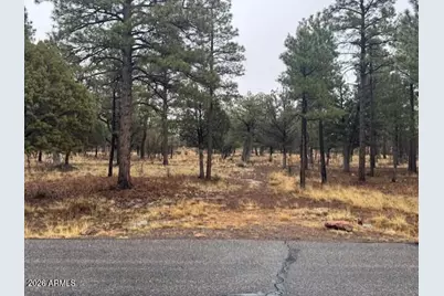 2625 Roundup Lane #246, Happy Jack, AZ 86024 - Photo 1